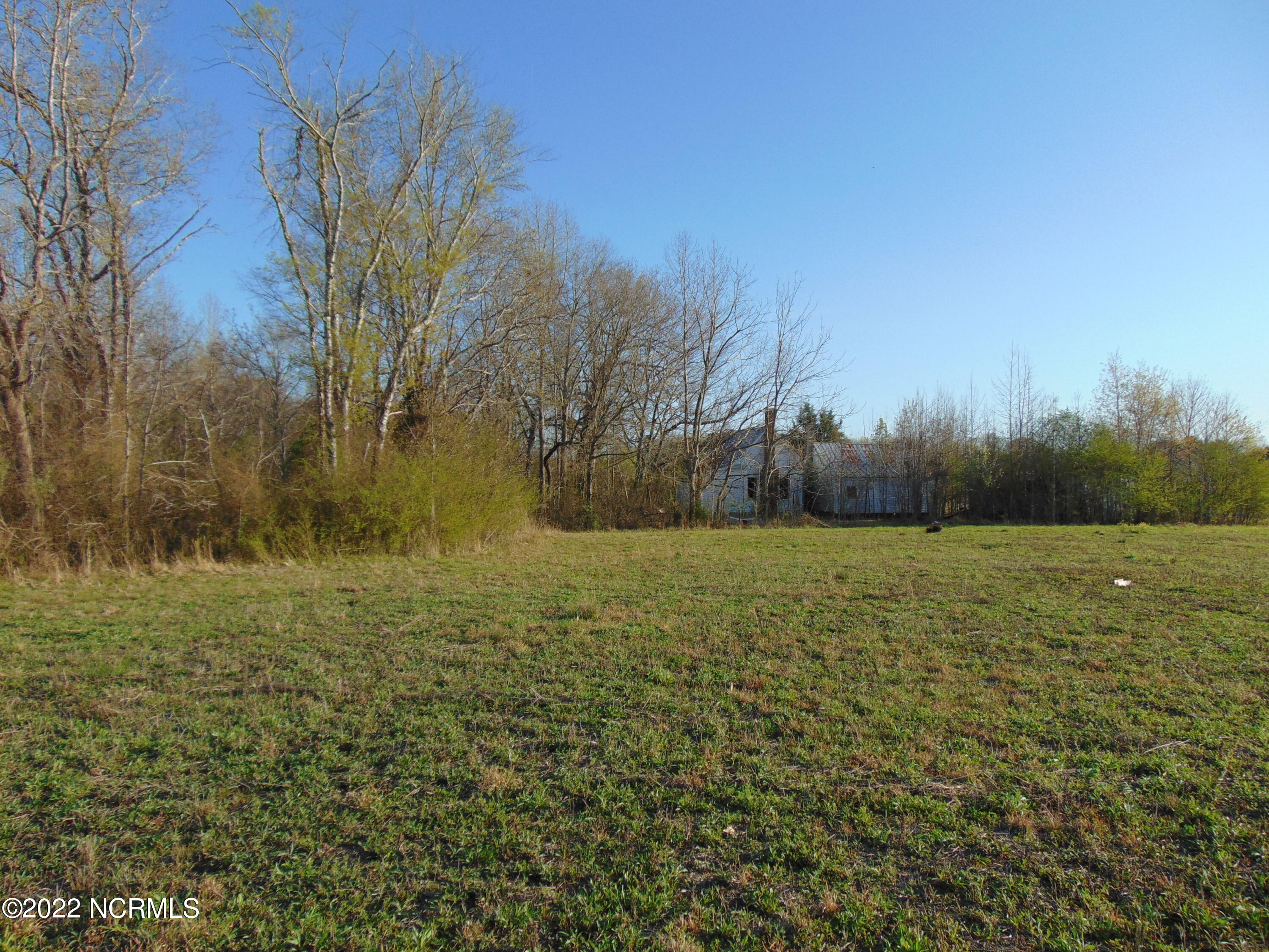7048 Wiggins Mill Road Lucama, NC 27851 - Photo 13 of 23 DSC02119