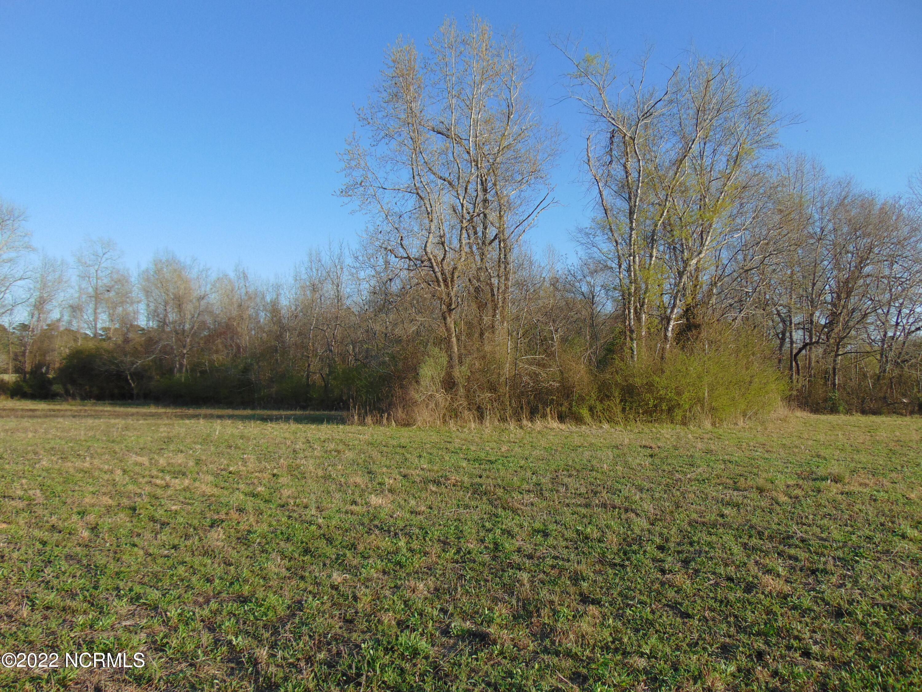 7048 Wiggins Mill Road Lucama, NC 27851 - Photo 14 of 23 DSC02120