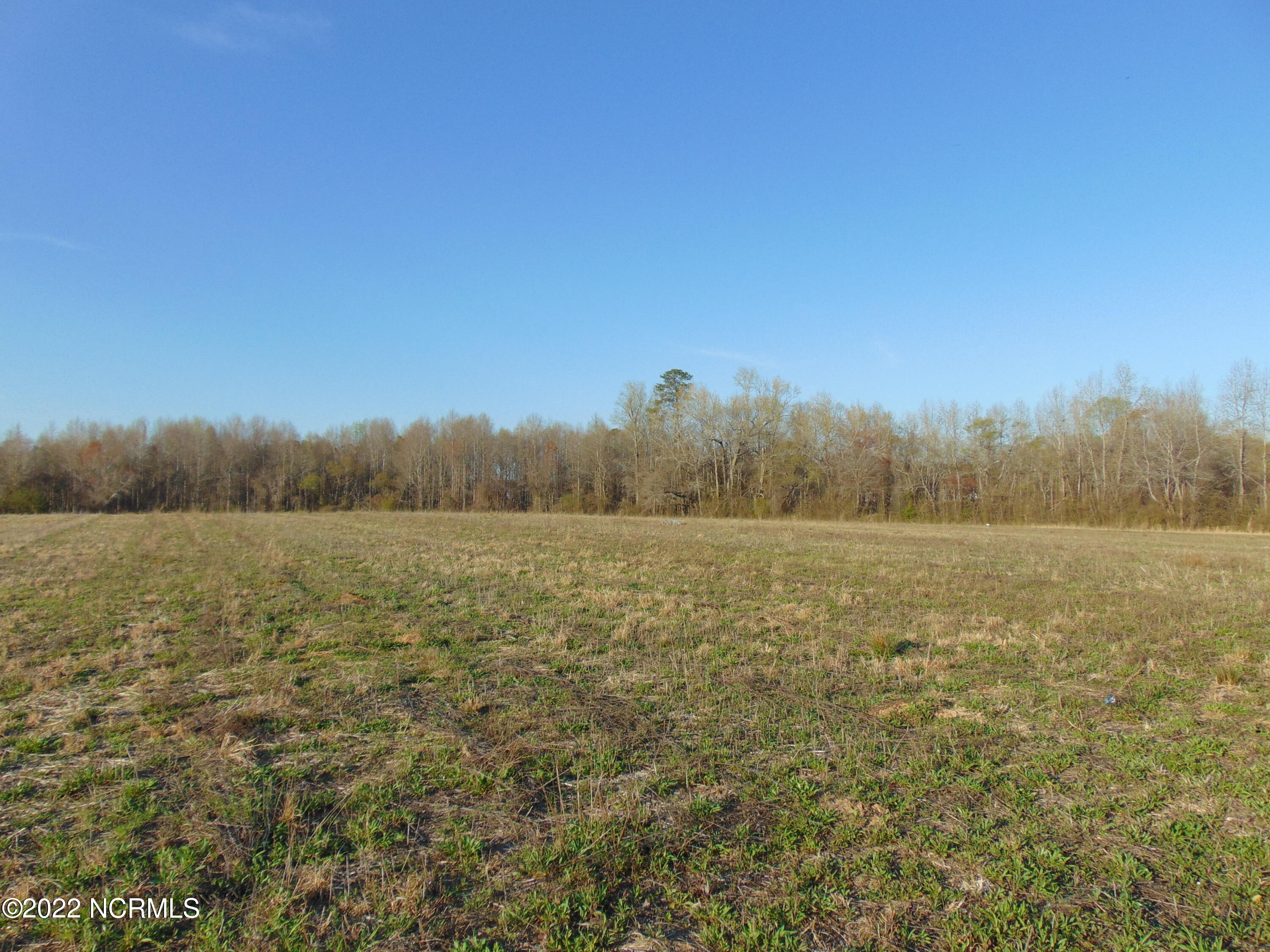 7048 Wiggins Mill Road Lucama, NC 27851 - Photo 16 of 23 DSC02122