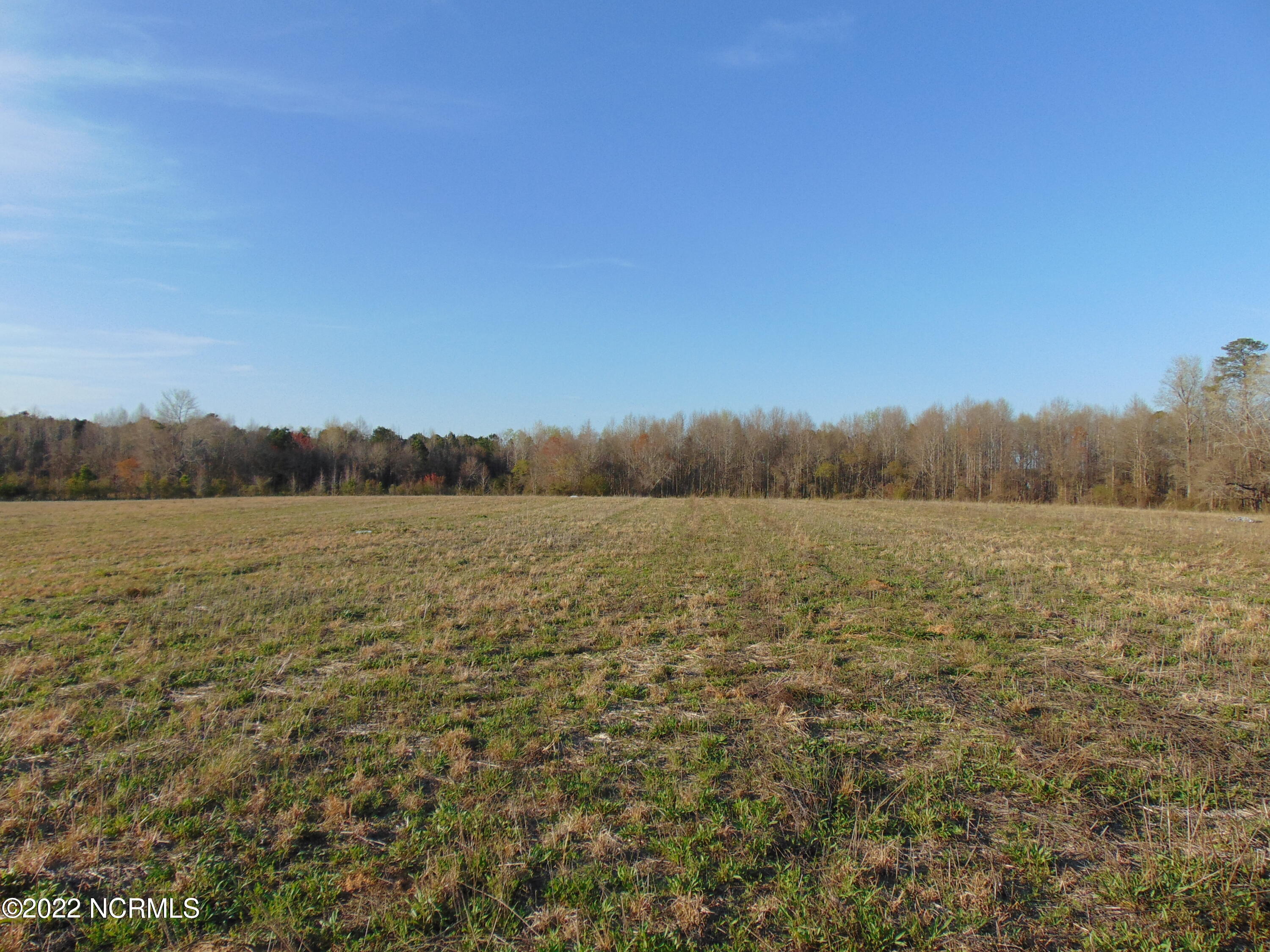7048 Wiggins Mill Road Lucama, NC 27851 - Photo 17 of 23 DSC02123