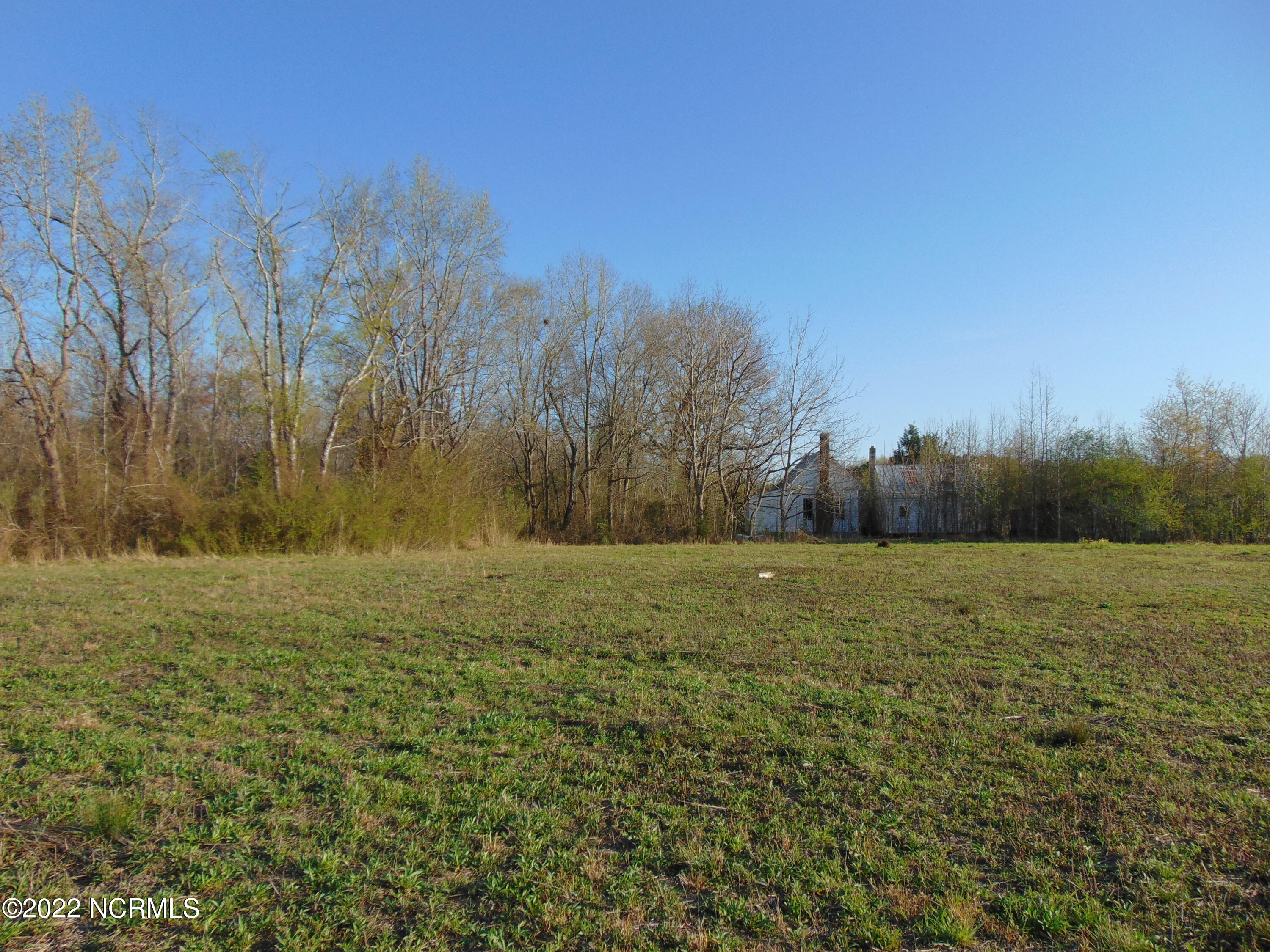 7048 Wiggins Mill Road Lucama, NC 27851 - Photo 19 of 23 DSC02125