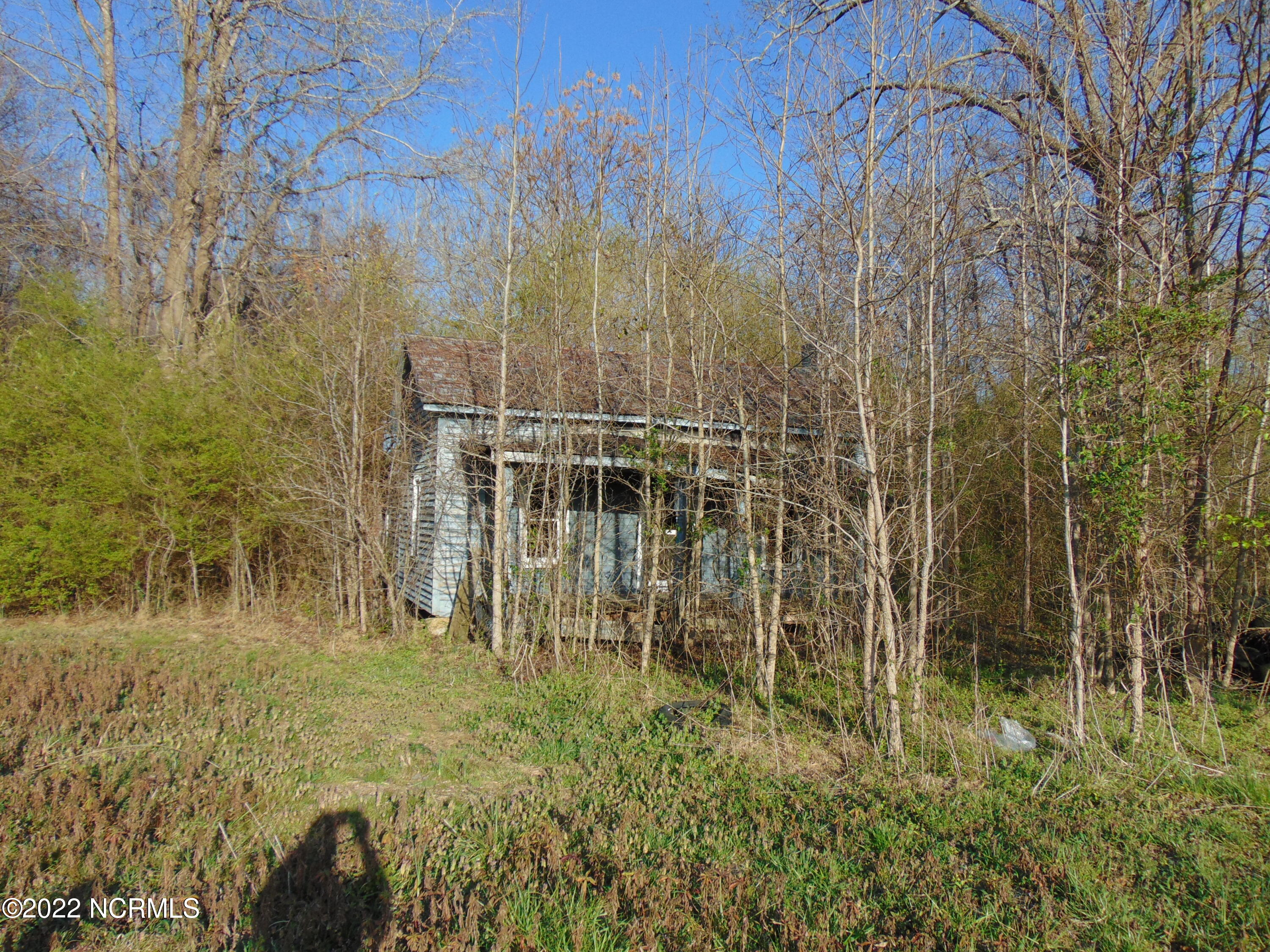 7048 Wiggins Mill Road Lucama, NC 27851 - Photo 4 of 23 DSC02109
