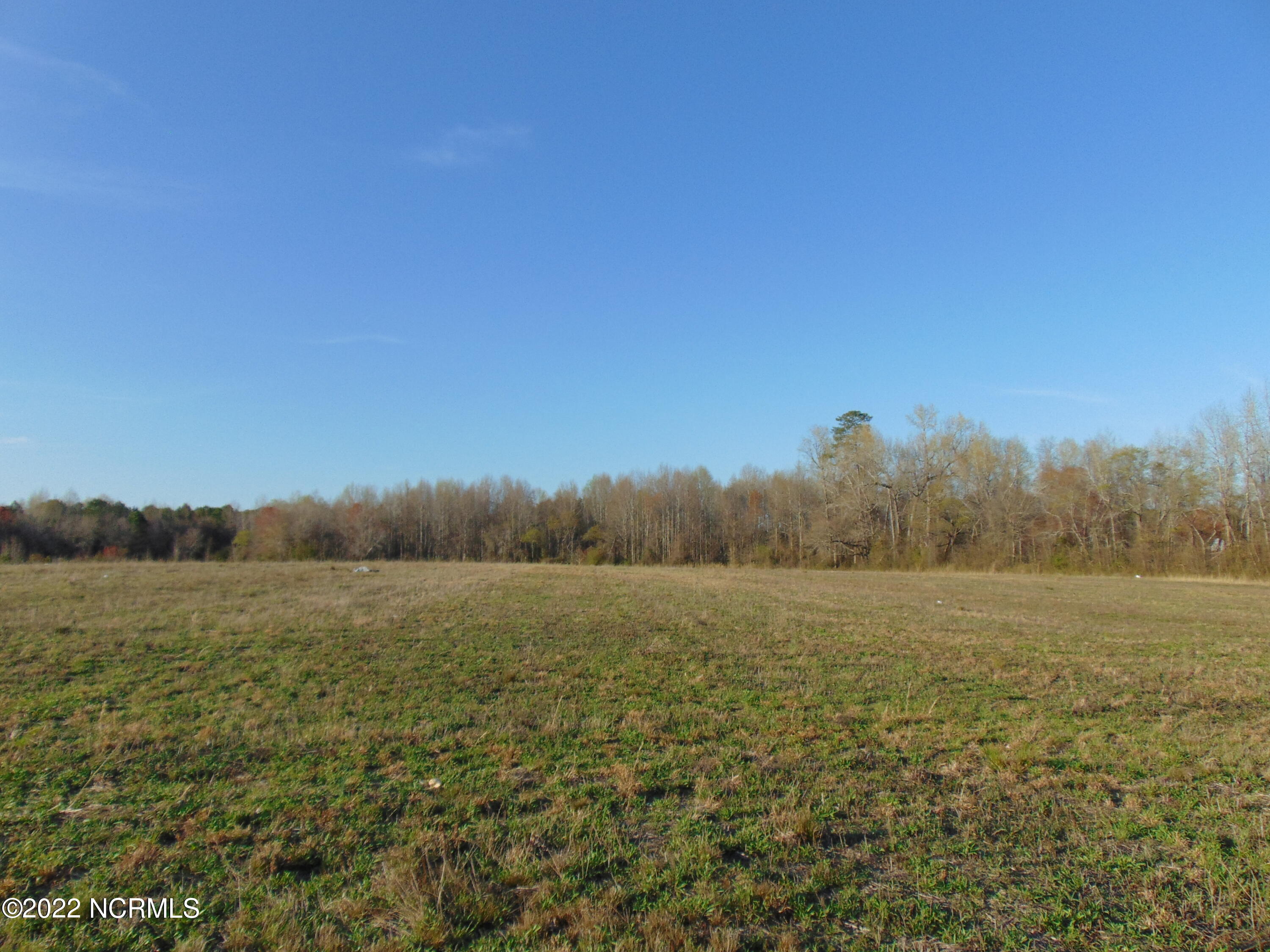 7048 Wiggins Mill Road Lucama, NC 27851 - Photo 8 of 23 DSC02113