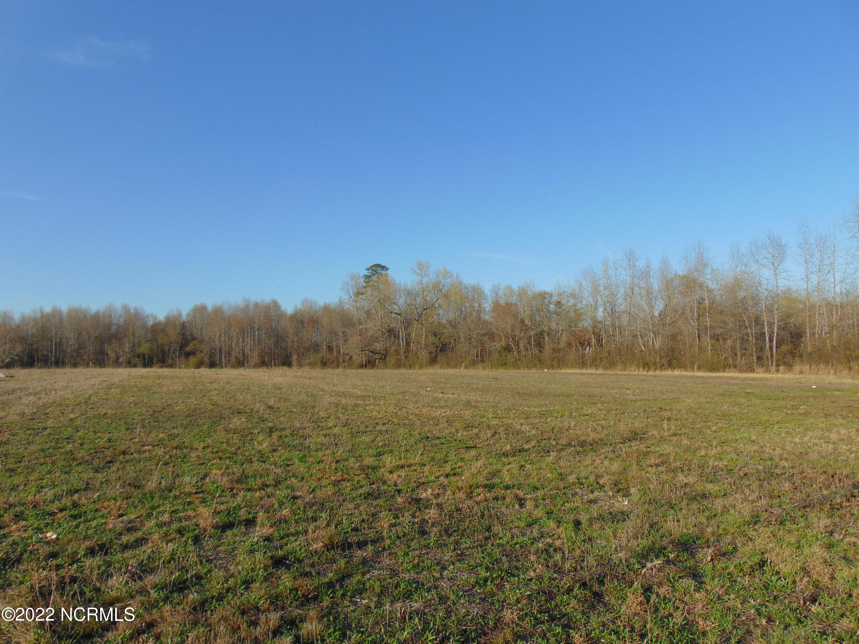 7048 Wiggins Mill Road Lucama, NC 27851 - Photo 9 of 23 DSC02114