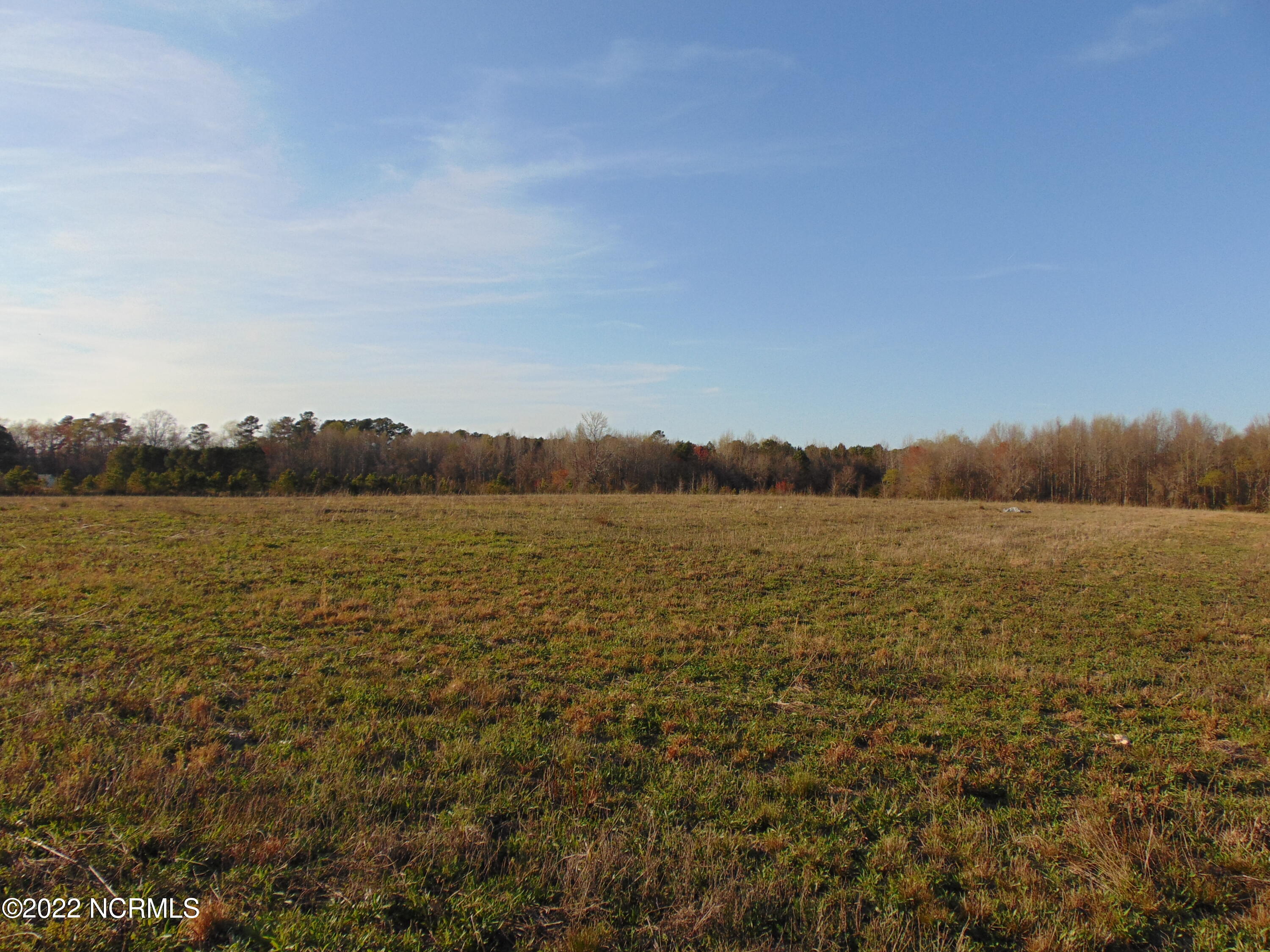 7048 Wiggins Mill Road Lucama, NC 27851 - Photo 10 of 23 DSC02115