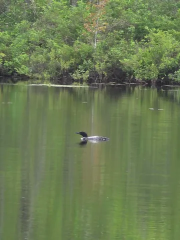 $685,000 | 146 Lone Indian Trail, Augusta, ME 04330