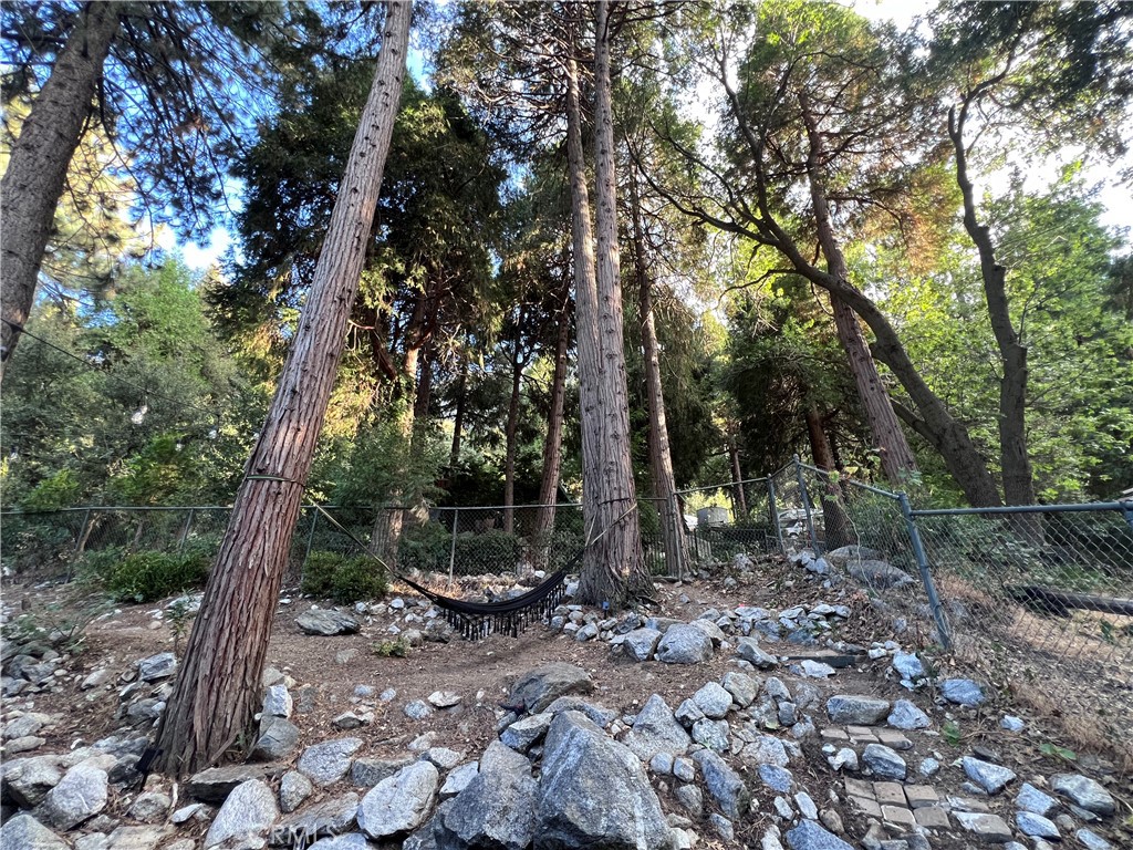 39326 Prospect Drive Forest Falls, CA 92339 - Photo 23 of 35 Gallery Image 23