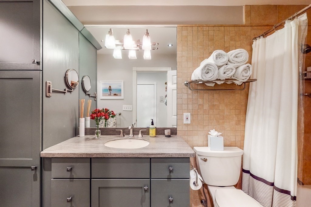 476 Shawmut Avenue, Unit 3 Boston, MA 02118 - Photo 23 of 29 a bathroom with a sink a toilet and mirror
