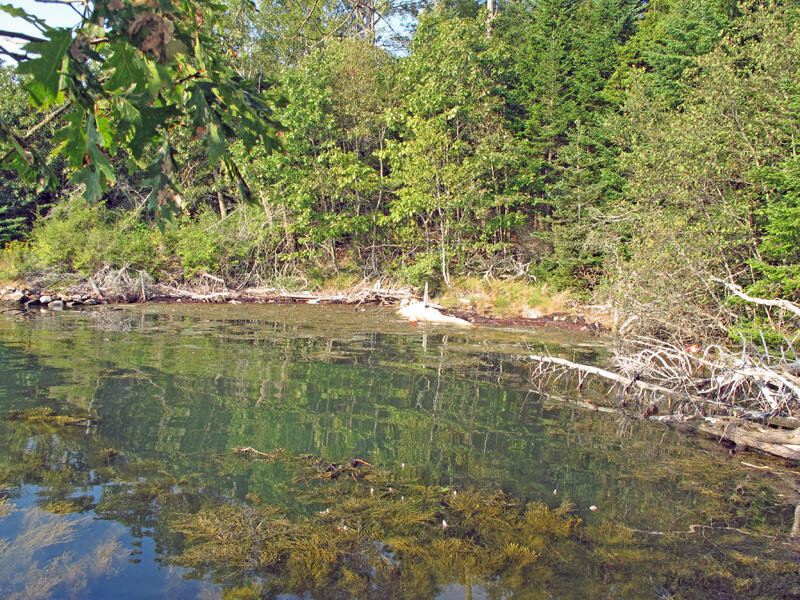 0 South Map 20 Road South Bristol, ME 04568 - Photo 10 of 19 S Road Land 10