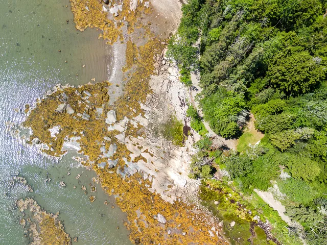 $279,000 | 0 Cline Road, Spruce Head, ME 04859