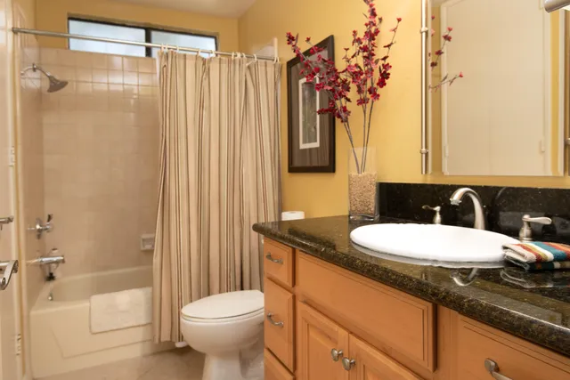 a bathroom with a toilet a sink and shower curtain