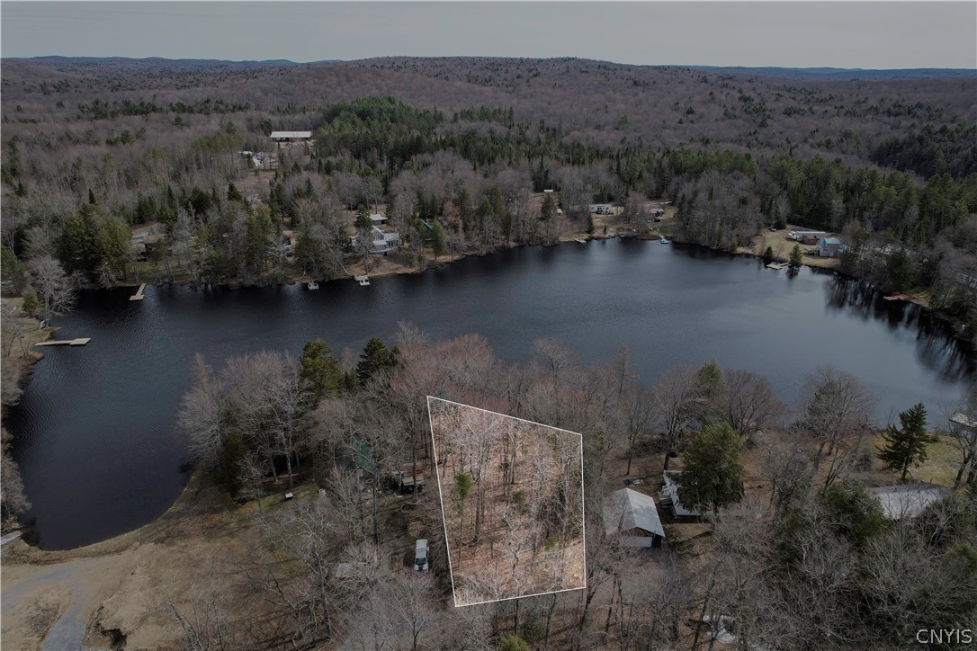 Lot 21 Deep Lake Road Forestport, NY 13338 - Photo 4 of 37
