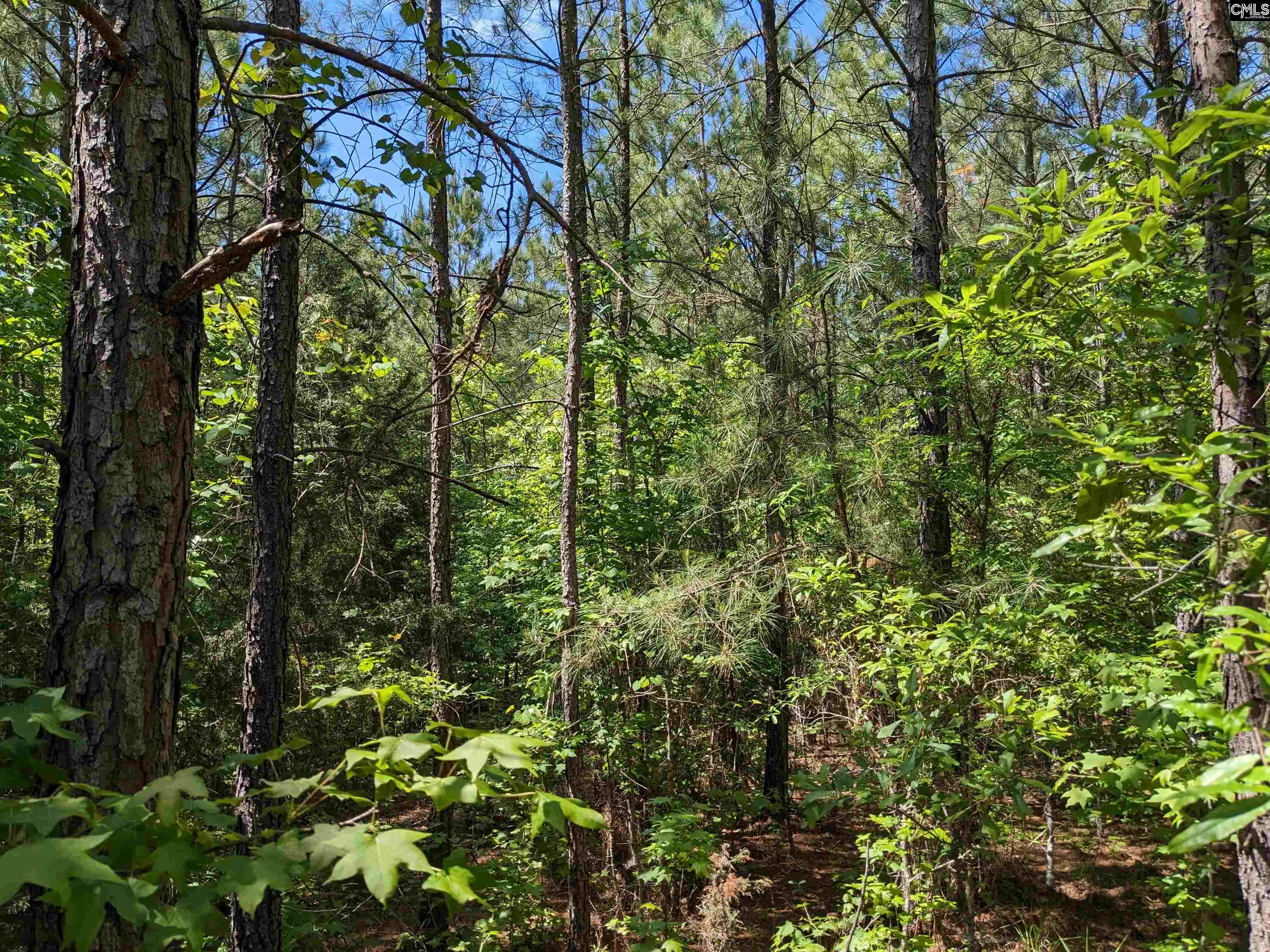 Jewel Drive Ridgeway, SC 29130 - Photo 13 of 20