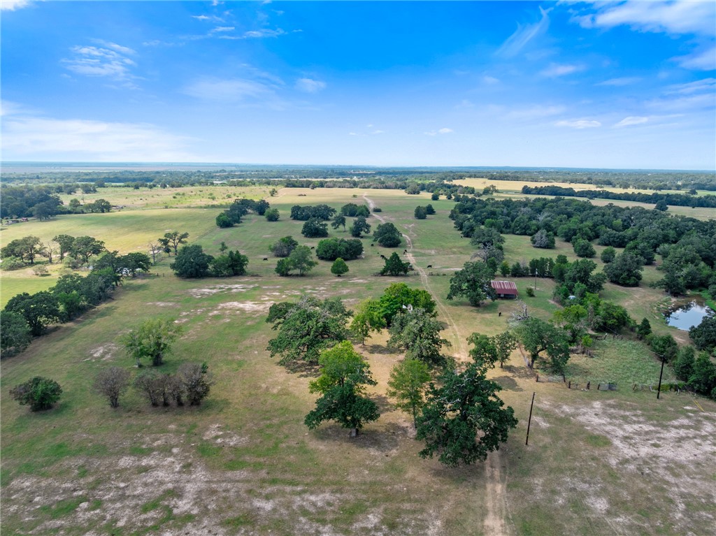4796 Britten Road Bryan, TX 77807 - Photo 19 of 41 Overview of rural landscape