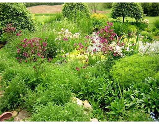 190 Bonniebrook Road Butler, PA 16002 - Photo 14 of 18 Yard/Garden.