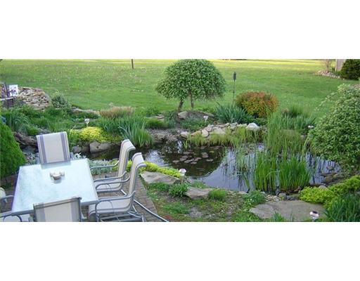 Yard/Garden. 