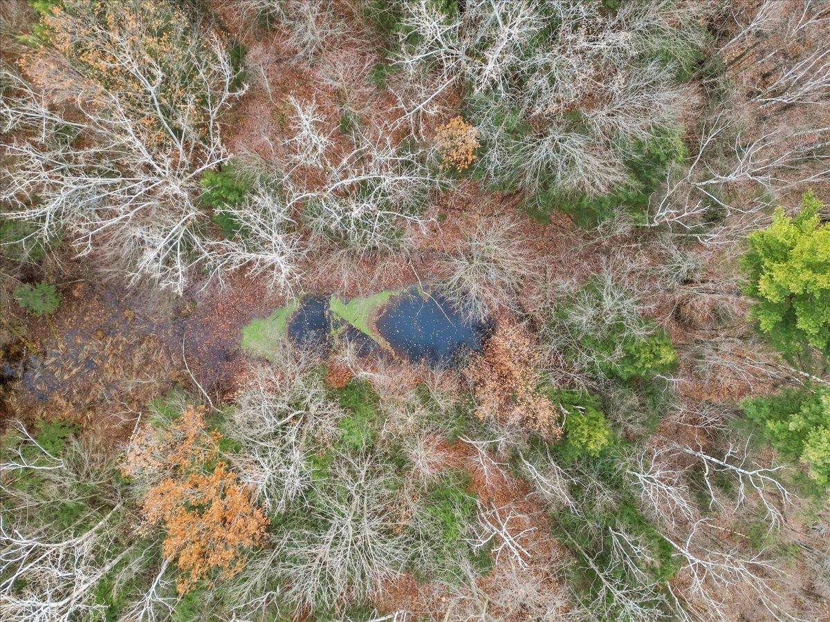 Tbd Shrine Road Isle La Motte, VT 05463 - Photo 9 of 9