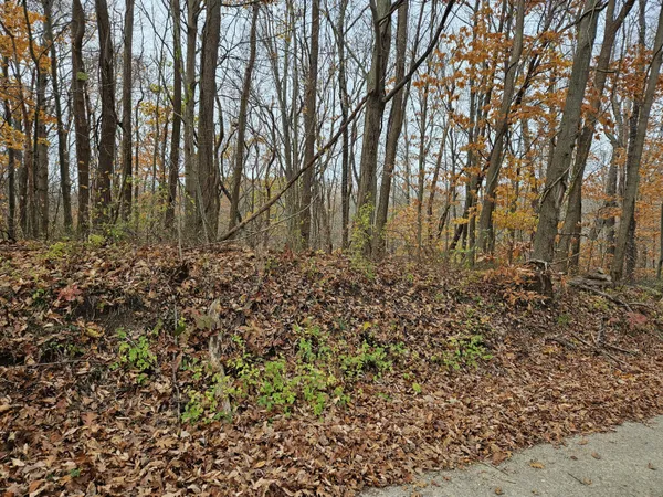 $11,500 | 5902 Jefferson Street, Coloma, MI 49038