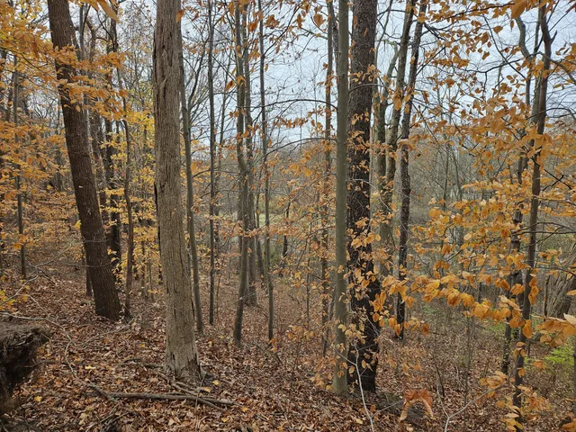 $11,500 | 5902 Jefferson Street, Coloma, MI 49038