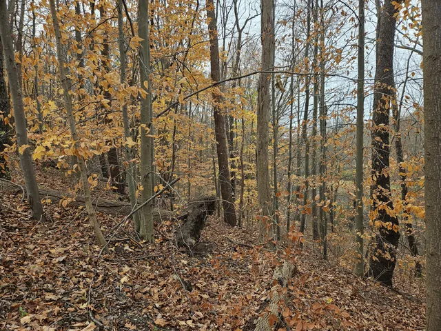 $11,500 | 5902 Jefferson Street, Coloma, MI 49038