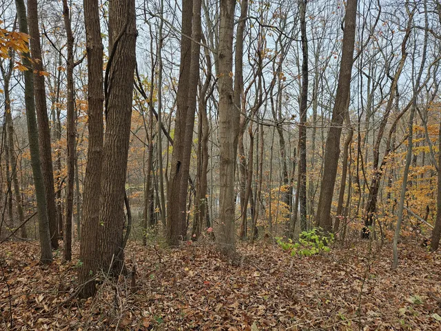 $11,500 | 5902 Jefferson Street, Coloma, MI 49038