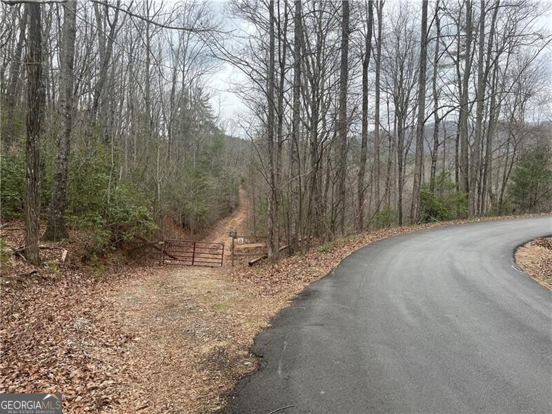 0 Antioch Church Road Unit TRACT 3