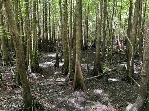 0 Bethesda Church Road Orrum, NC 28369 - Photo 32 of 34 Gallery Image 32
