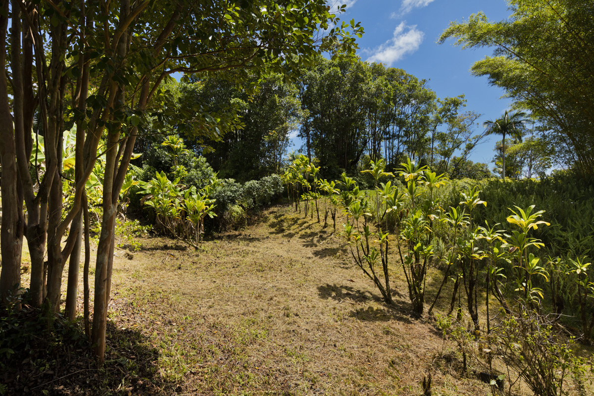 3269 Kaiwiki Road Hilo, HI 96720 - Photo 18 of 29 Gallery Image 18
