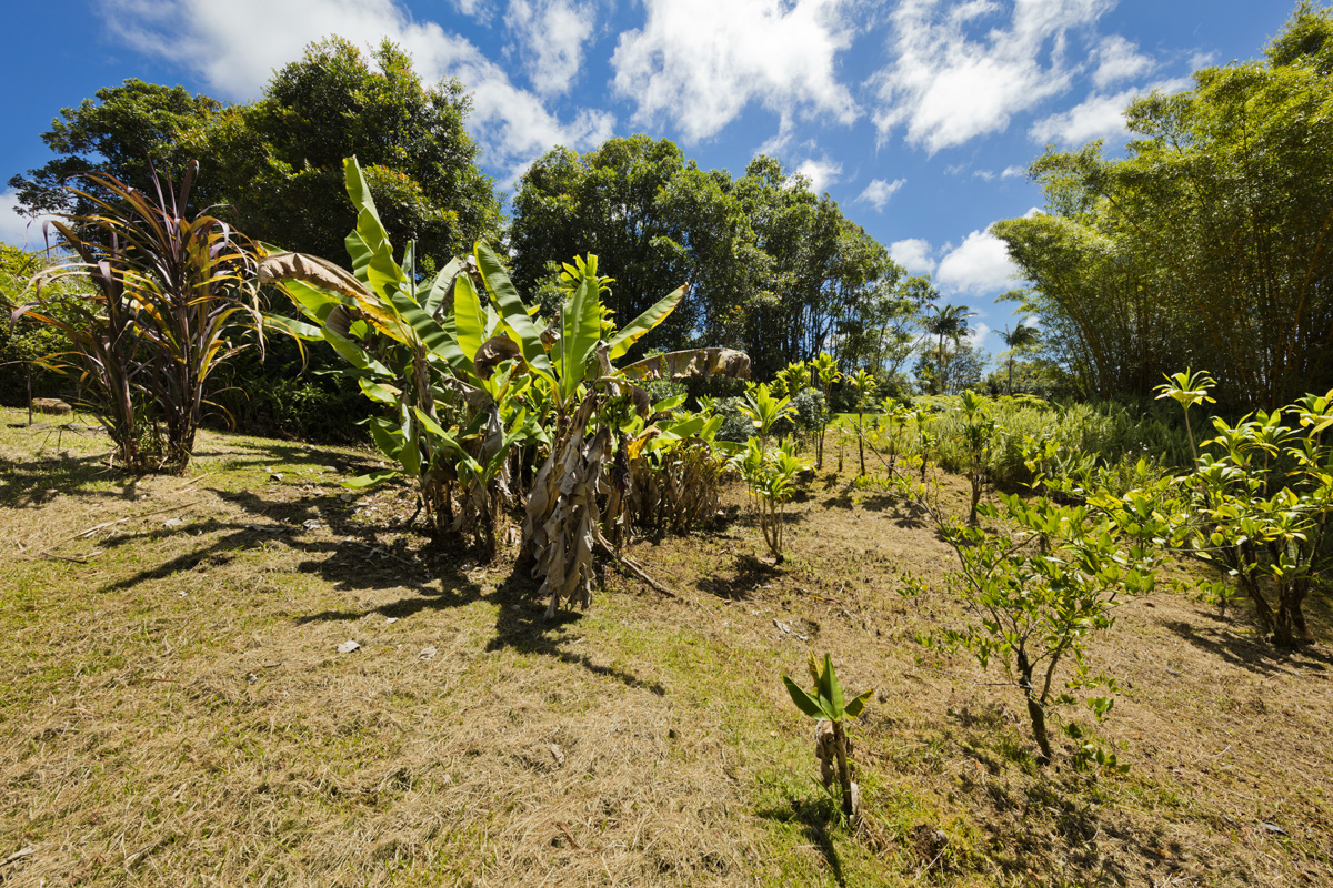3269 Kaiwiki Road Hilo, HI 96720 - Photo 21 of 29 Gallery Image 21