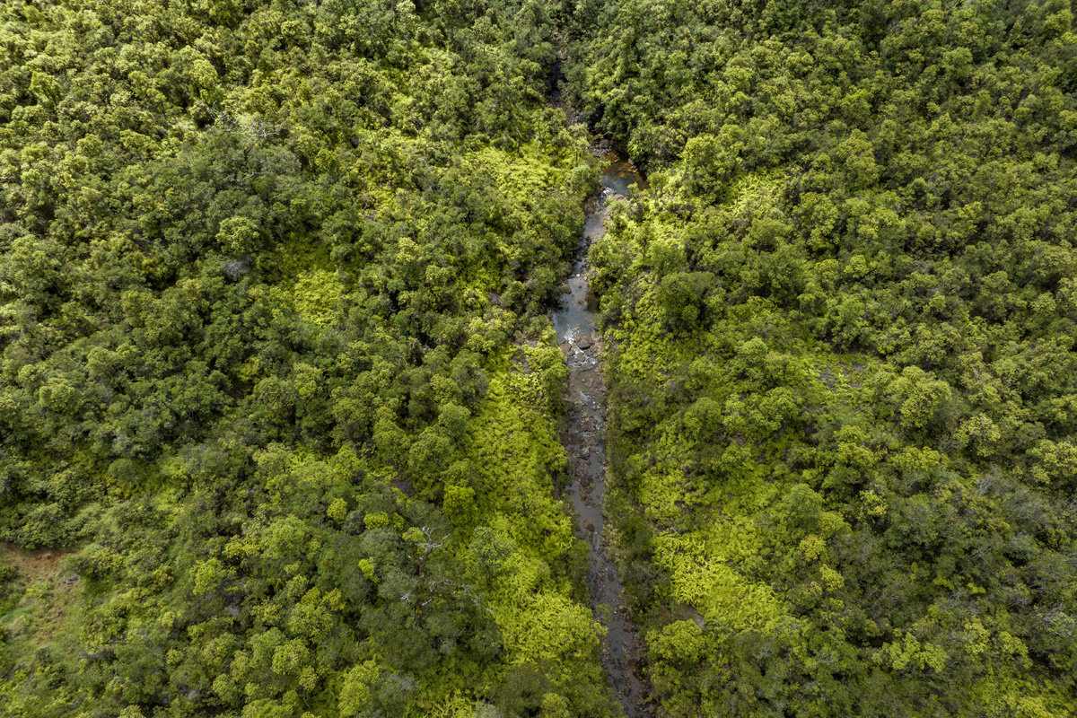 3269 Kaiwiki Road Hilo, HI 96720 - Photo 26 of 29 Gallery Image 26