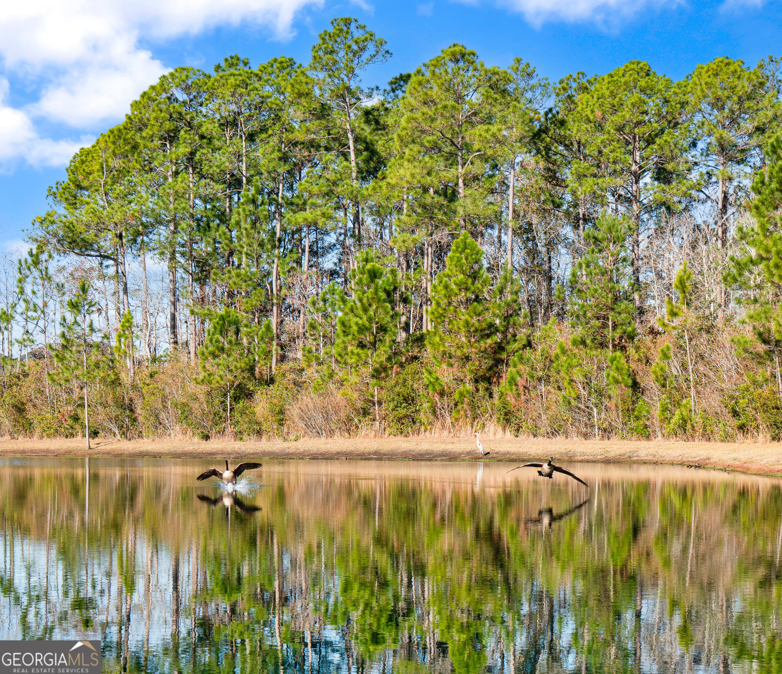 239 Daniel Trent Way Kingsland, GA 31548 - Photo 47 of 48