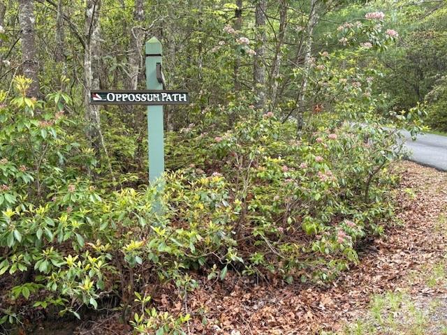 16 Opossum Path, Unit FR 16 Brevard, NC 28712 - Photo 11 of 21 a sign of golf club