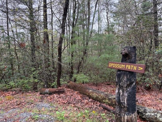 16 Opossum Path, Unit FR 16 Brevard, NC 28712 - Photo 12 of 21 a view of a pathway of a park