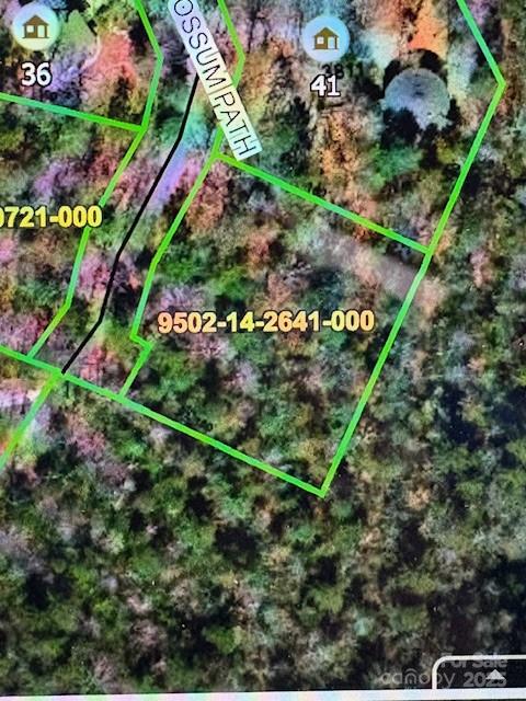 16 Opossum Path, Unit FR 16 Brevard, NC 28712 - Photo 13 of 21 unknown