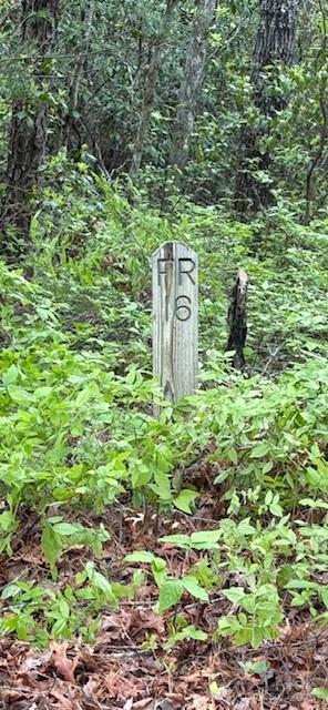 16 Opossum Path, Unit FR 16 Brevard, NC 28712 - Photo 2 of 21