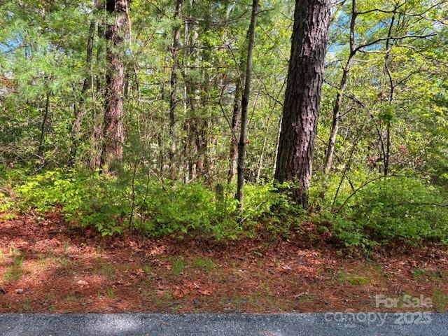 16 Opossum Path, Unit FR 16 Brevard, NC 28712 - Photo 6 of 21 a view of a garden