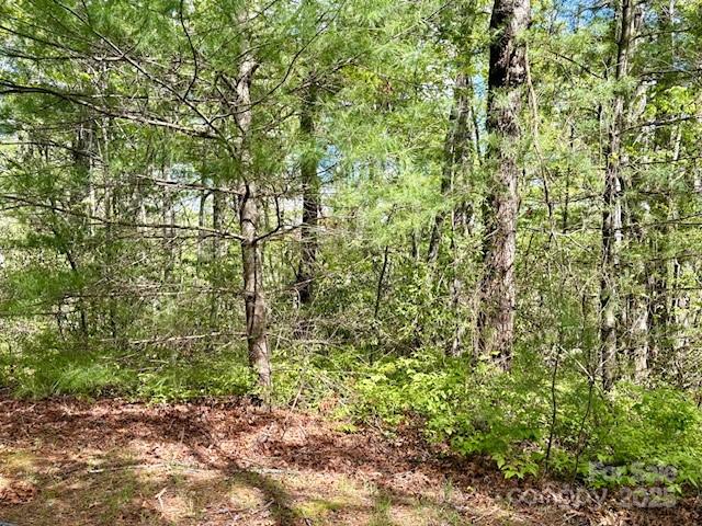 16 Opossum Path, Unit FR 16 Brevard, NC 28712 - Photo 9 of 21 a view of a yard with plants and trees