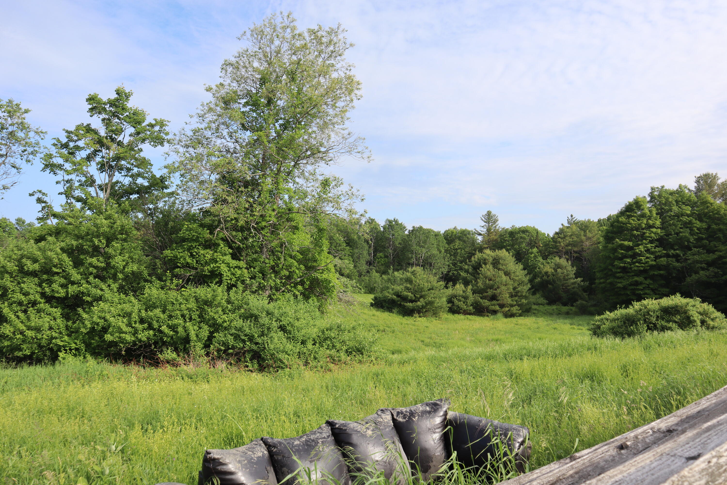 95 Wiley Road Greene, ME 04236 - Photo 14 of 41 IMG_4755