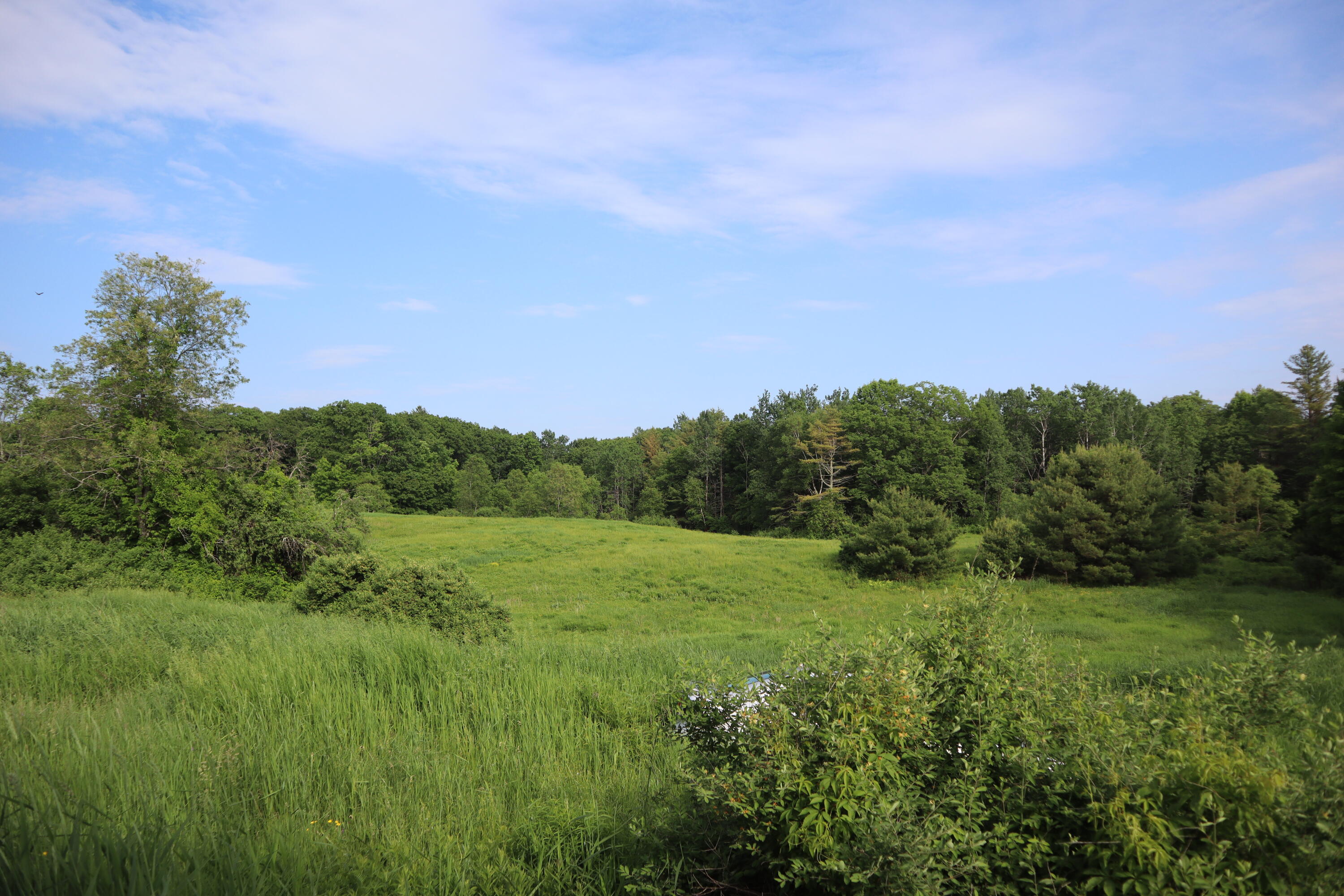 95 Wiley Road Greene, ME 04236 - Photo 19 of 41 IMG_4747