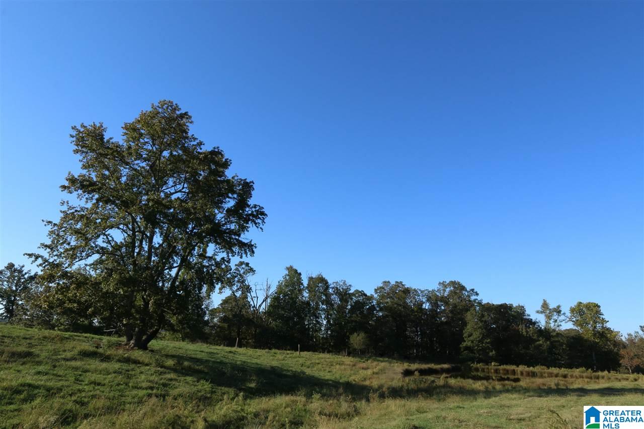 936 Daileys Chapel Road Oneonta, AL 35121 - Photo 31 of 36