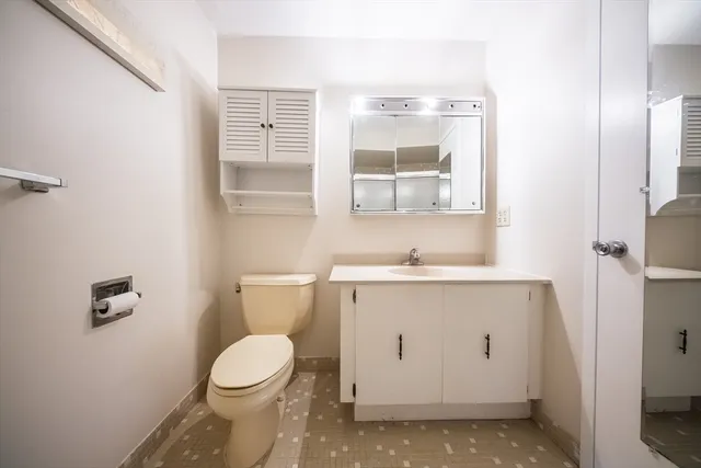 a bathroom with a sink a toilet and vanity