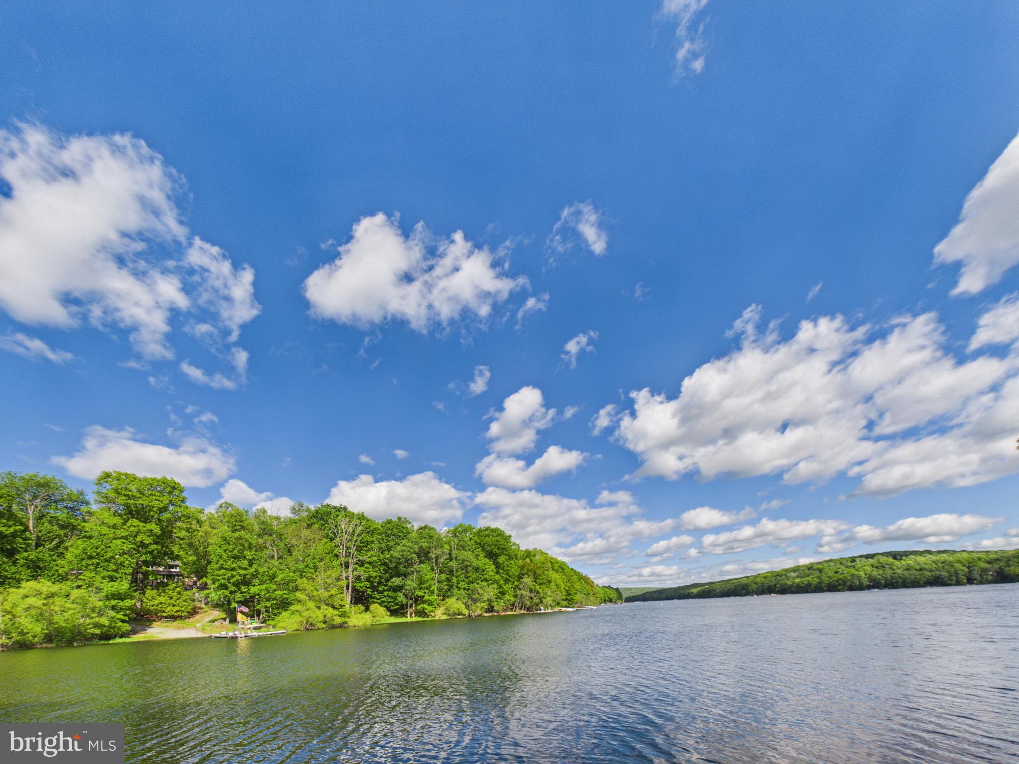 477 Finn Swamp Road Lakeville, PA 18438 - Photo 22 of 53 Martins Cove