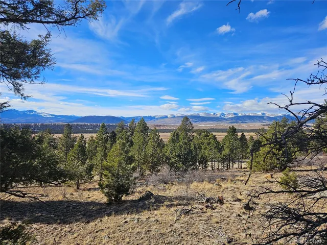 $115,000 | 395 Bonell Drive, Fairplay, CO 80440