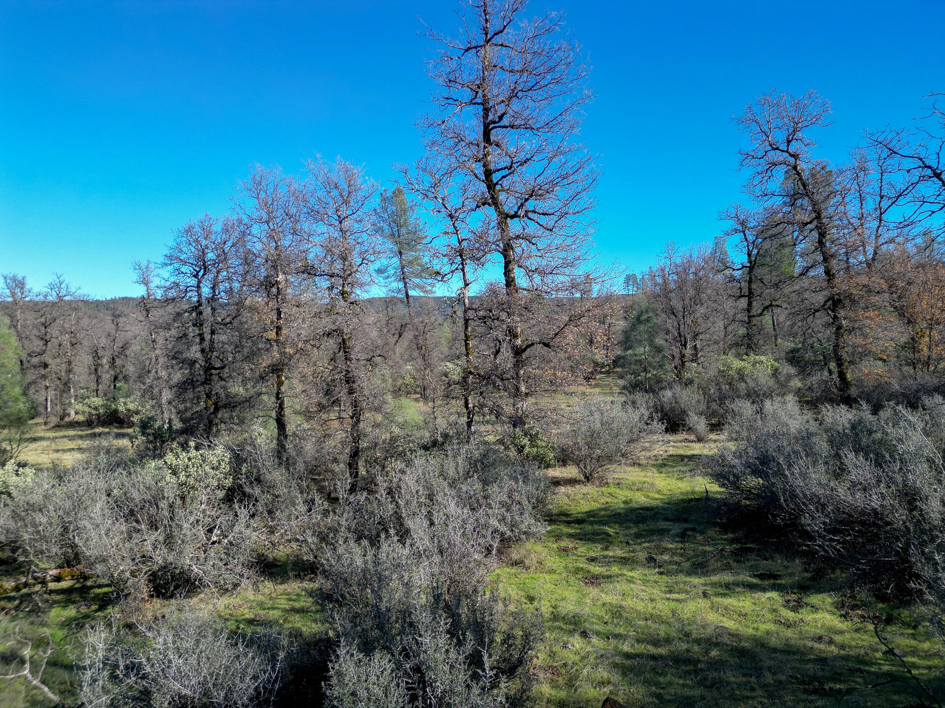 15.77 Acres Dittman Road Montgomery Creek, CA 96065 - Photo 17 of 26 a view of outdoor space and city view