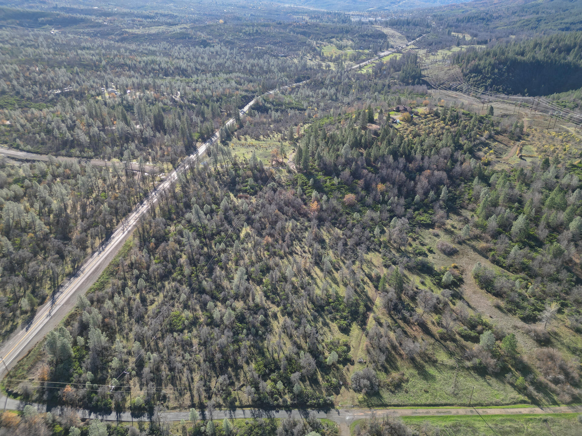 15.77 Acres Dittman Road Montgomery Creek, CA 96065 - Photo 20 of 26 a view of a forest with a street