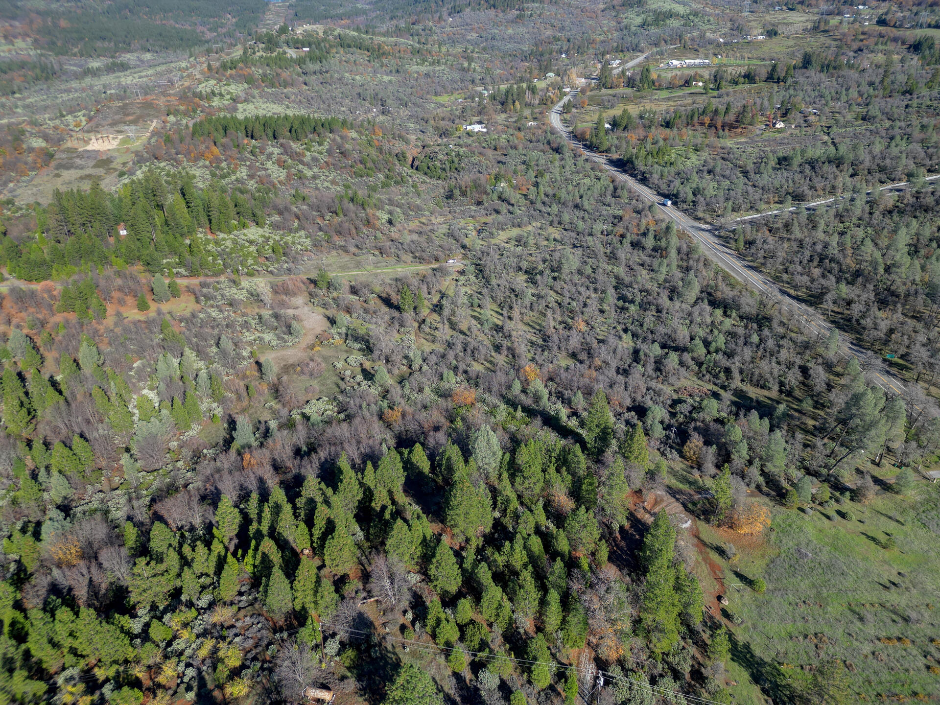 15.77 Acres Dittman Road Montgomery Creek, CA 96065 - Photo 23 of 26 a view of a yard with a plant