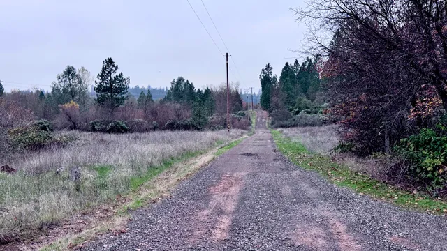 a view of a dry yard with trees in the background
