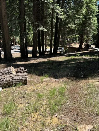 a view of backyard with wooden fence and large trees