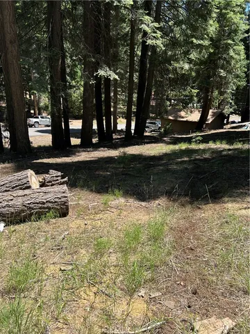 a view of backyard with wooden fence and large trees