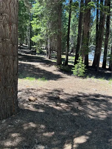 a view of a yard with wooden fence